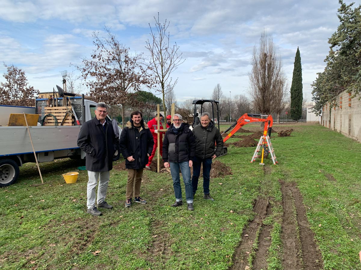 Piano Verde Verona - Piantumazioni Pestrino