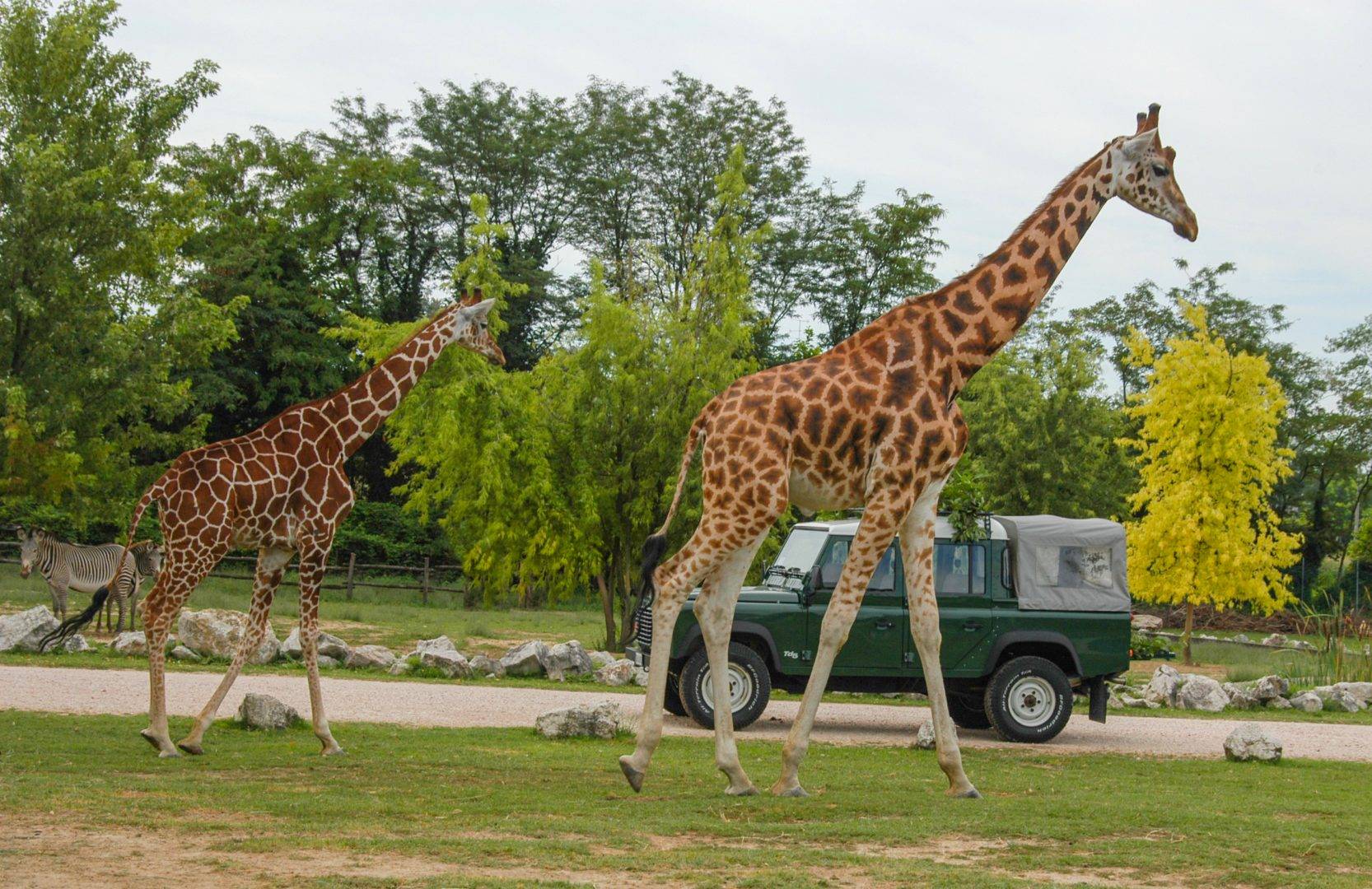 Parco Natura Viva Motorbike Expo fuoristrada safari