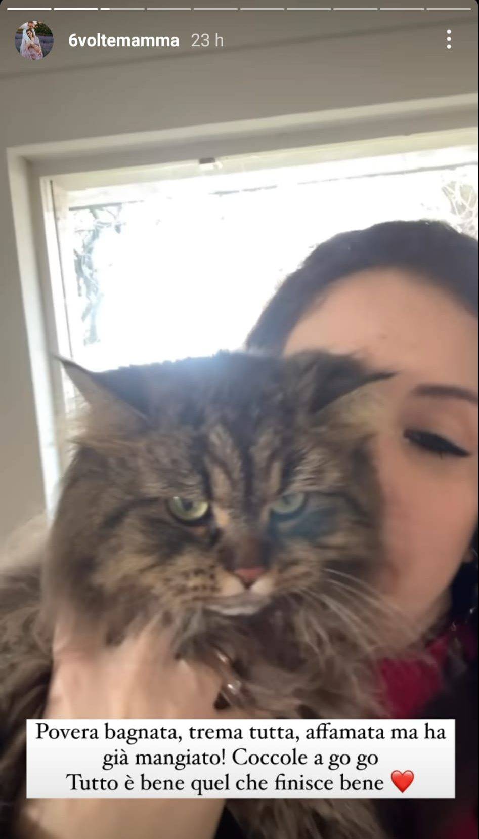 Gatto salvato Lugagnano