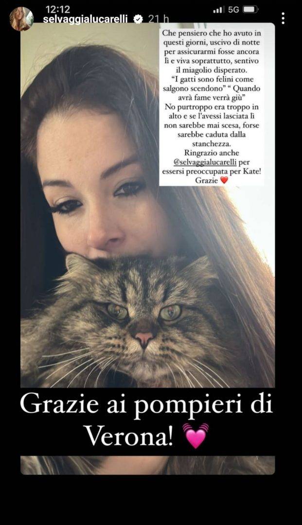 Gatto salvato Lugagnano