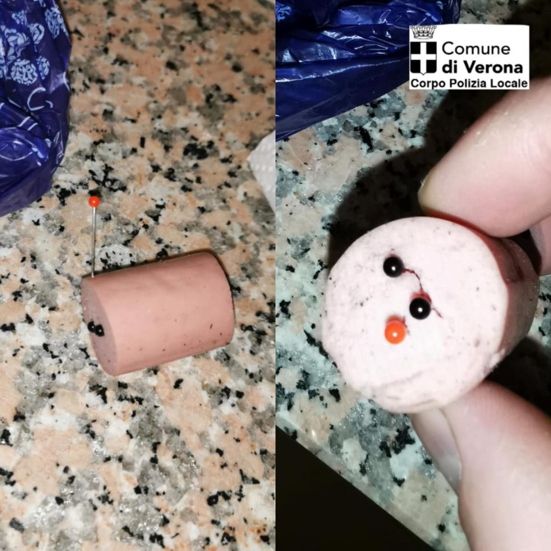 bocconi con puntine verona 16 gennaio 2023