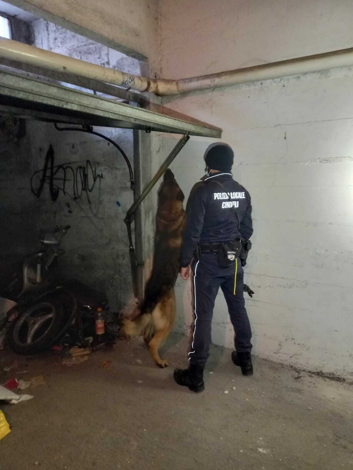 sgombero occupazioni abusive