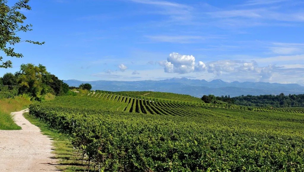 Colline moreniche Custoza
