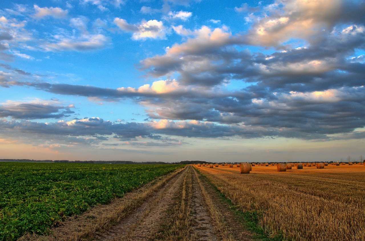 agricoltura del futuro Fieragricola Tech campo campi grano