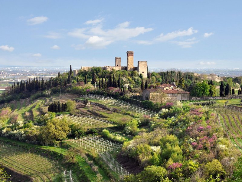 Castello di Montorio luci