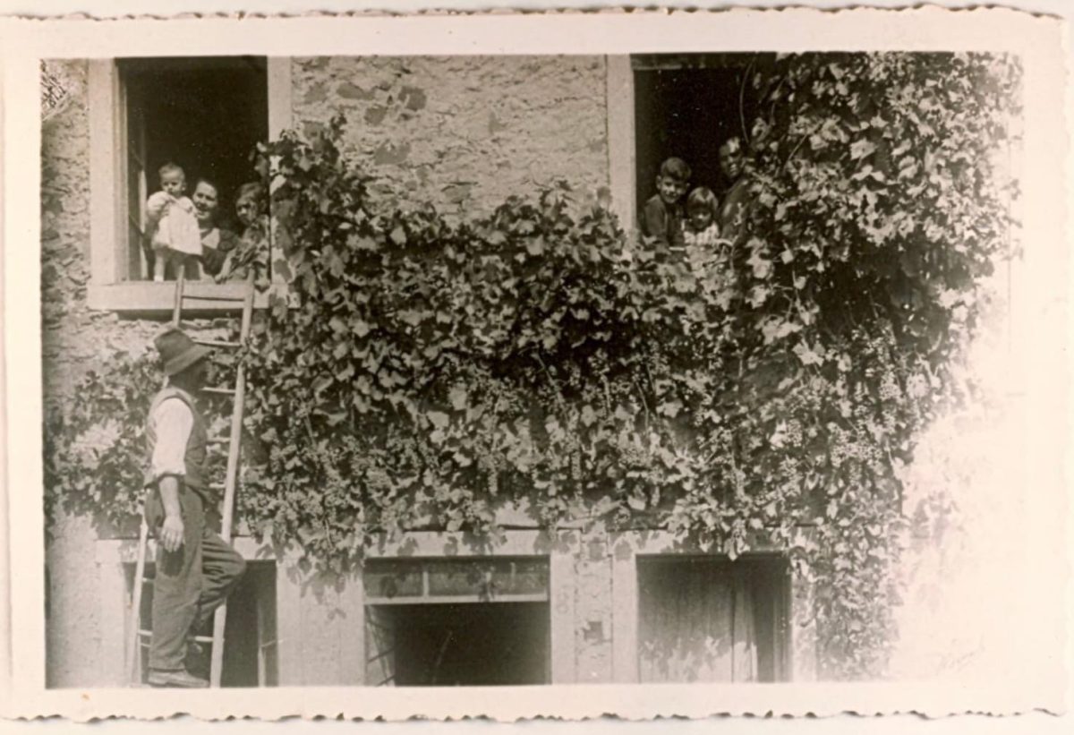 I pitochi Teatro Scientifico Verona