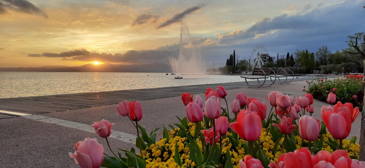 Bardolino - tulipani-tulipanomania - Foto Lara De Beni