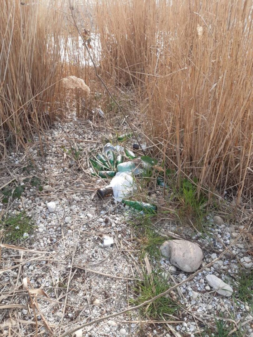 Lazise canneto distrutto