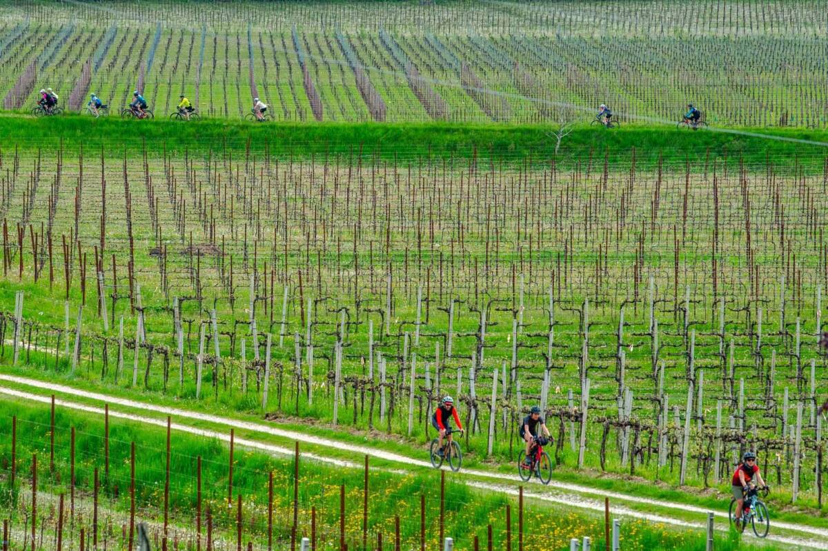Eroica Prosecco Hills enoturismo Gianni Bugno Vinitaly