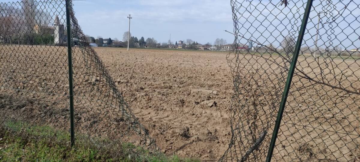Scuola media Casaleone atti vandalici
