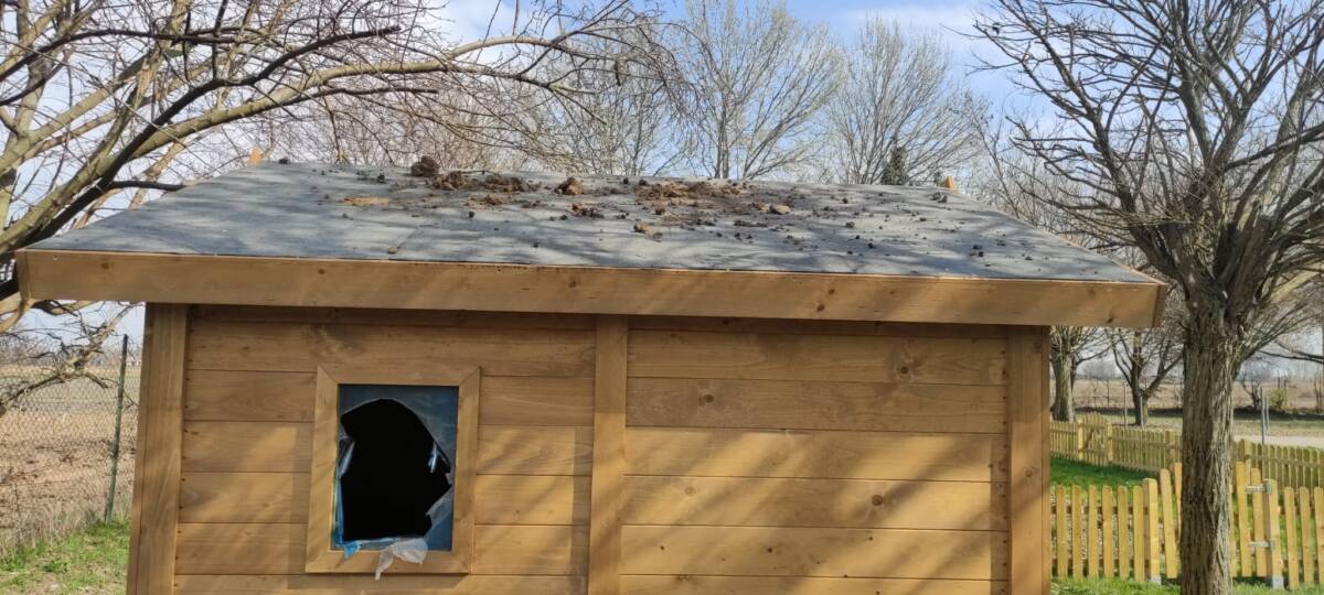 Scuola media Casaleone atti vandalici