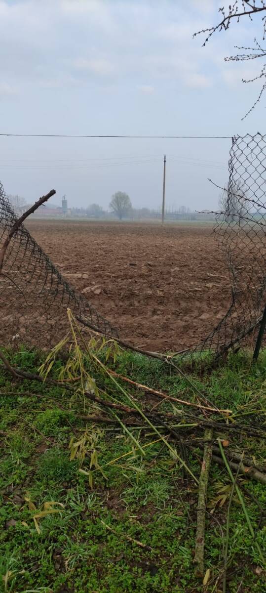 Scuola media Casaleone atti vandalici