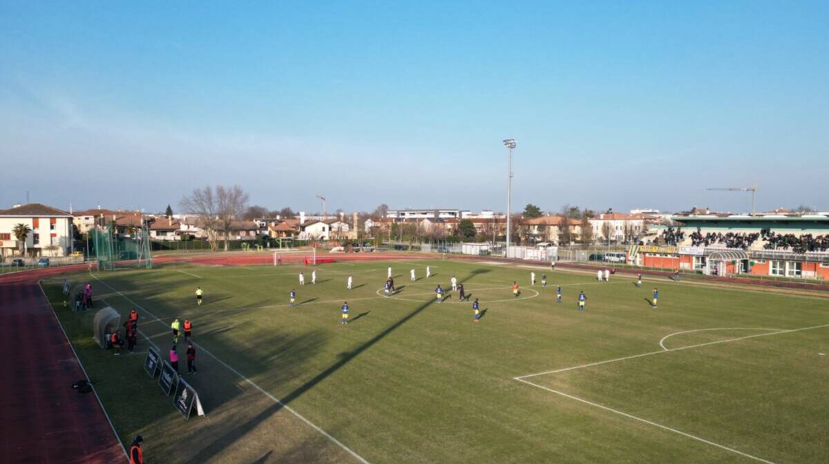 Academy Plateola Clivense