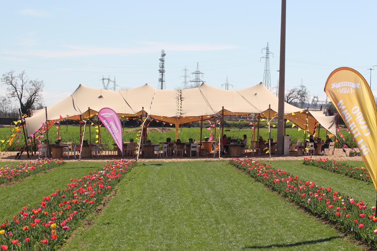 Tulipani che passione - Bussolengo Flover