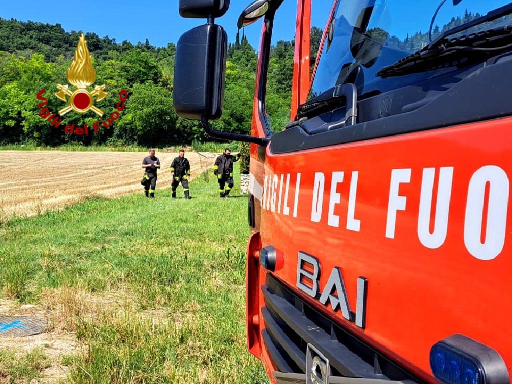 Tasso catturato - Vigili del fuoco Cavaion Veronese