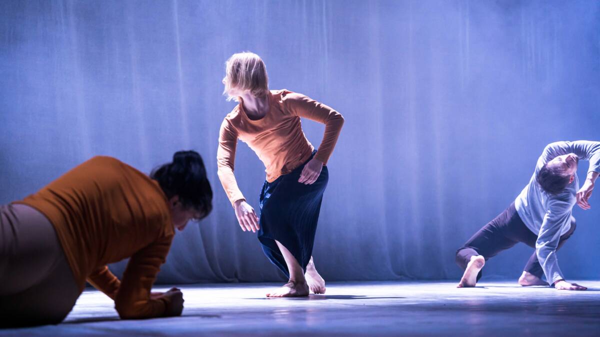 Shakespeare in Waltz