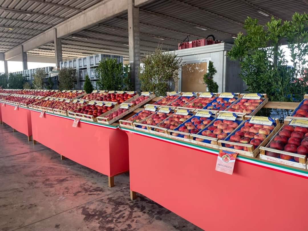 49° Mostra delle Pesche di Bussolengo 01