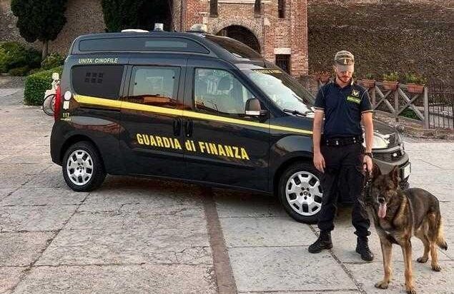 Guardia di finanza Villafranca di Verona - Controlli antidroga al concerto di Aphex Twin