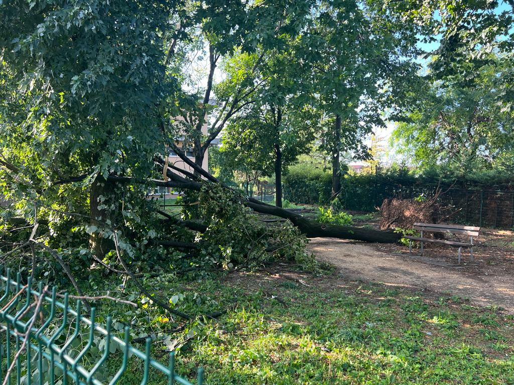 Danni del maltempo a Verona, 30 luglio 2023