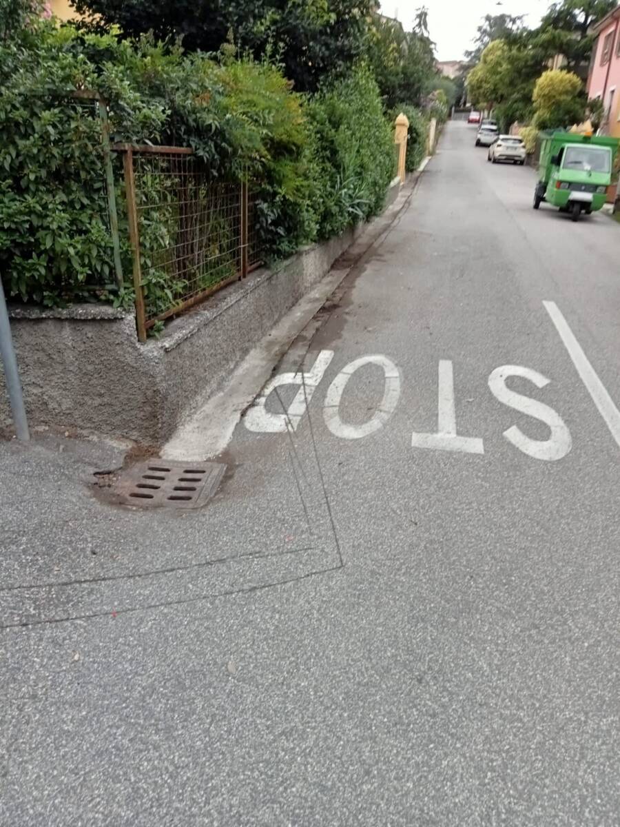 Sfalcio Verona 2 - dopo