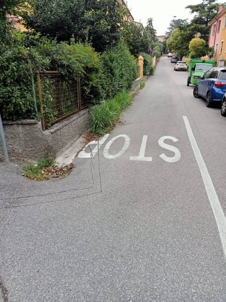 Sfalcio Verona 2 - dopo