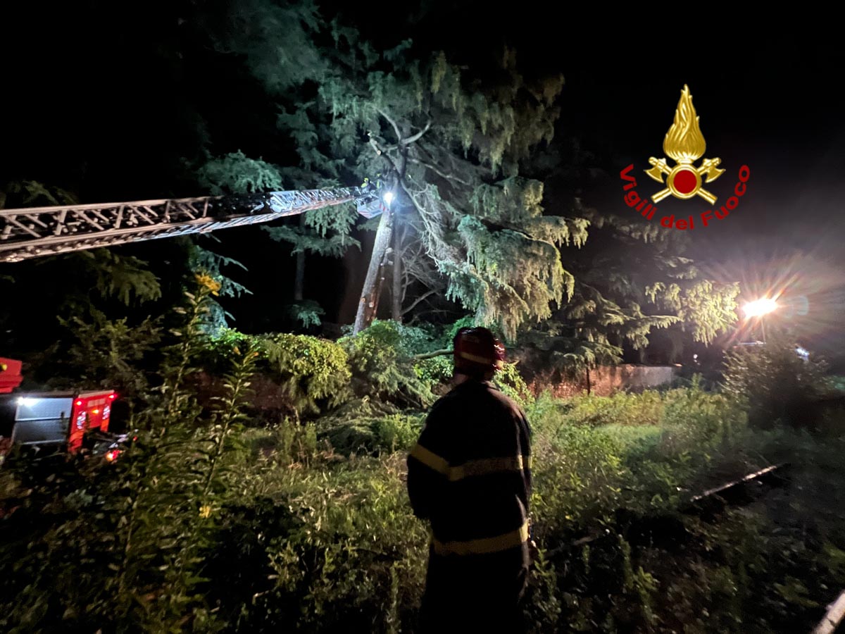 Vigili del fuoco Castelnuovo - albero ferrovia