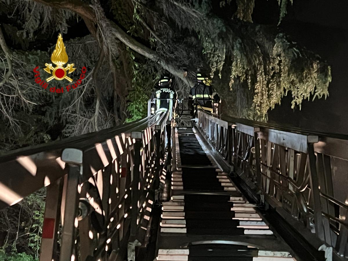 Vigili del fuoco Castelnuovo - albero ferrovia