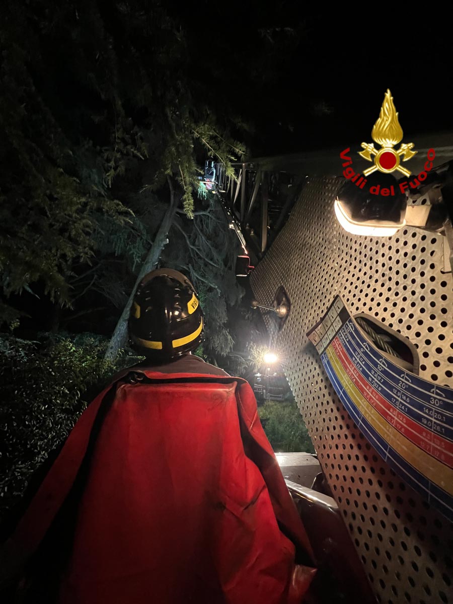 Vigili del fuoco Castelnuovo - albero ferrovia