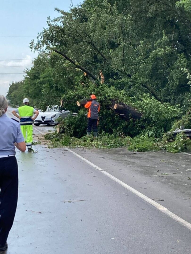 Alberi caduti buttapietra cadidavid maltempo