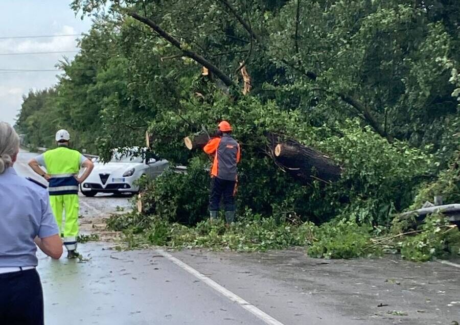 Alberi caduti buttapietra cadidavid maltempo