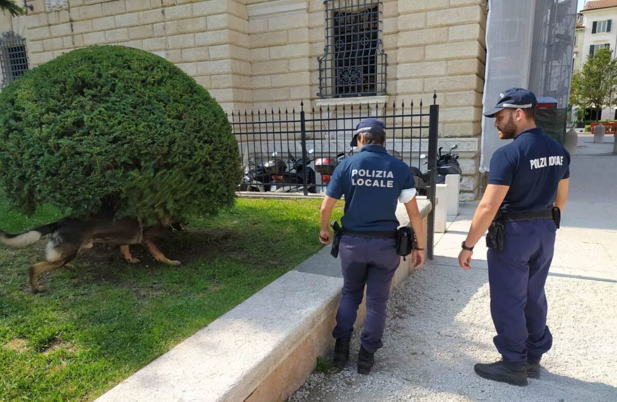Polizia locale di Verona unità cinofile maxi sequestro cocaina