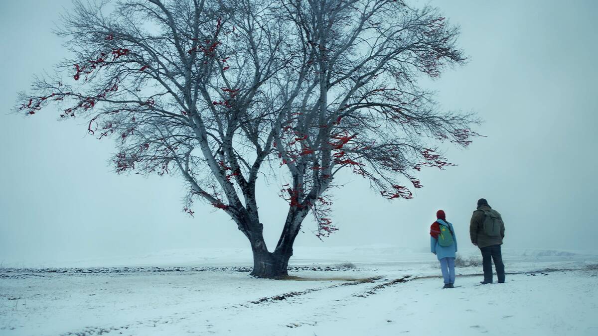 Film Festival della Lessinia scuole