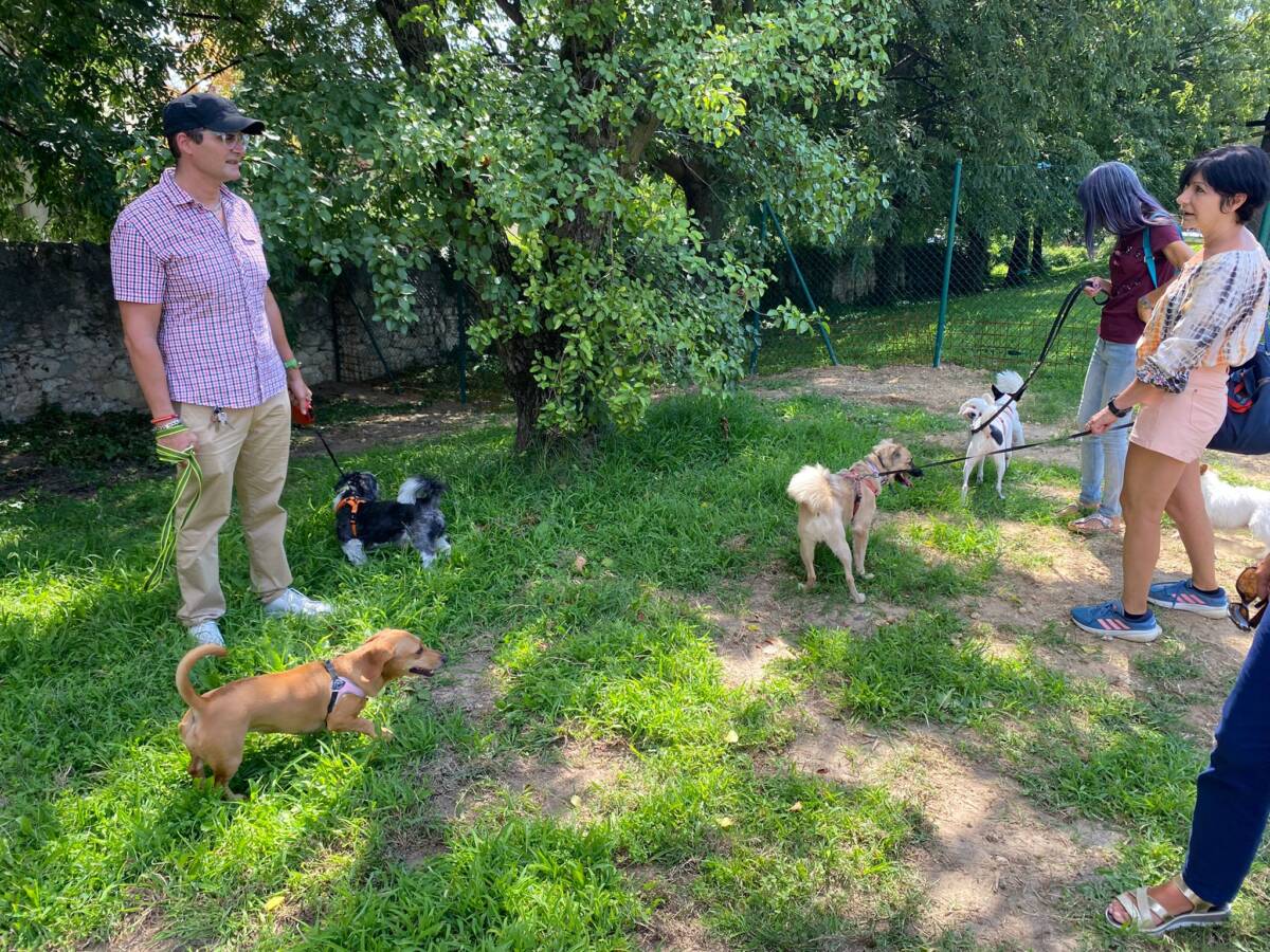 Area cani Biondella Verona