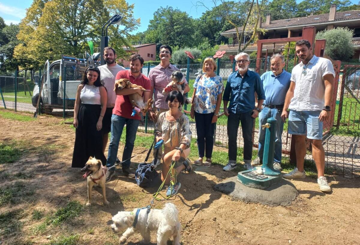 Area cani Biondella Verona