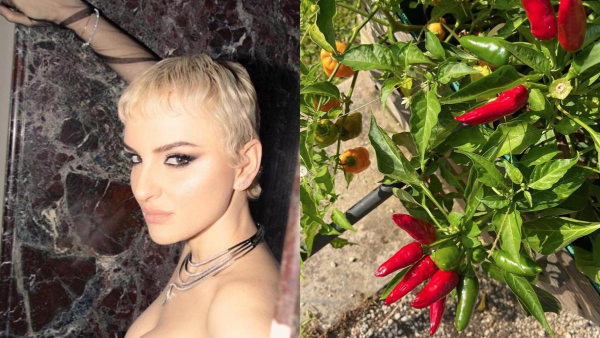 arisa nuda matrimonio