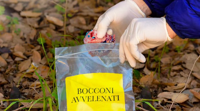 bocconi avvelenati