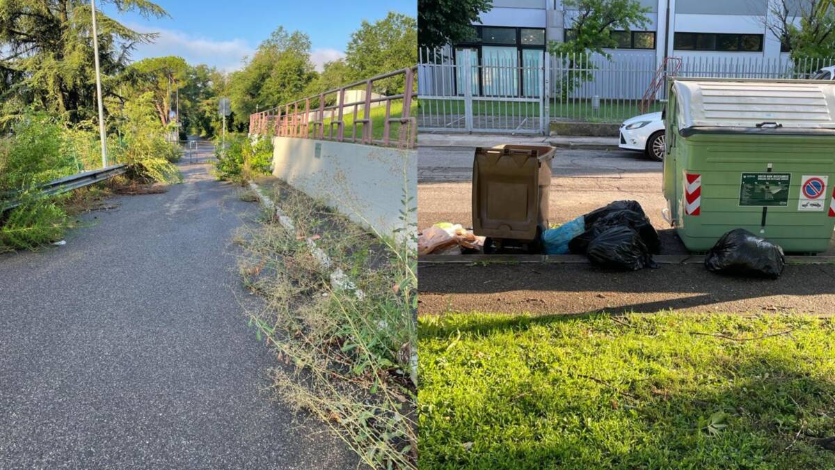 degrado incuria verona borgo milano