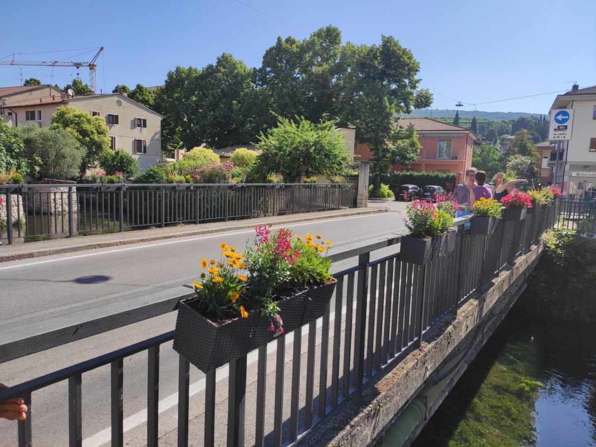 fiori ponte_trivelin