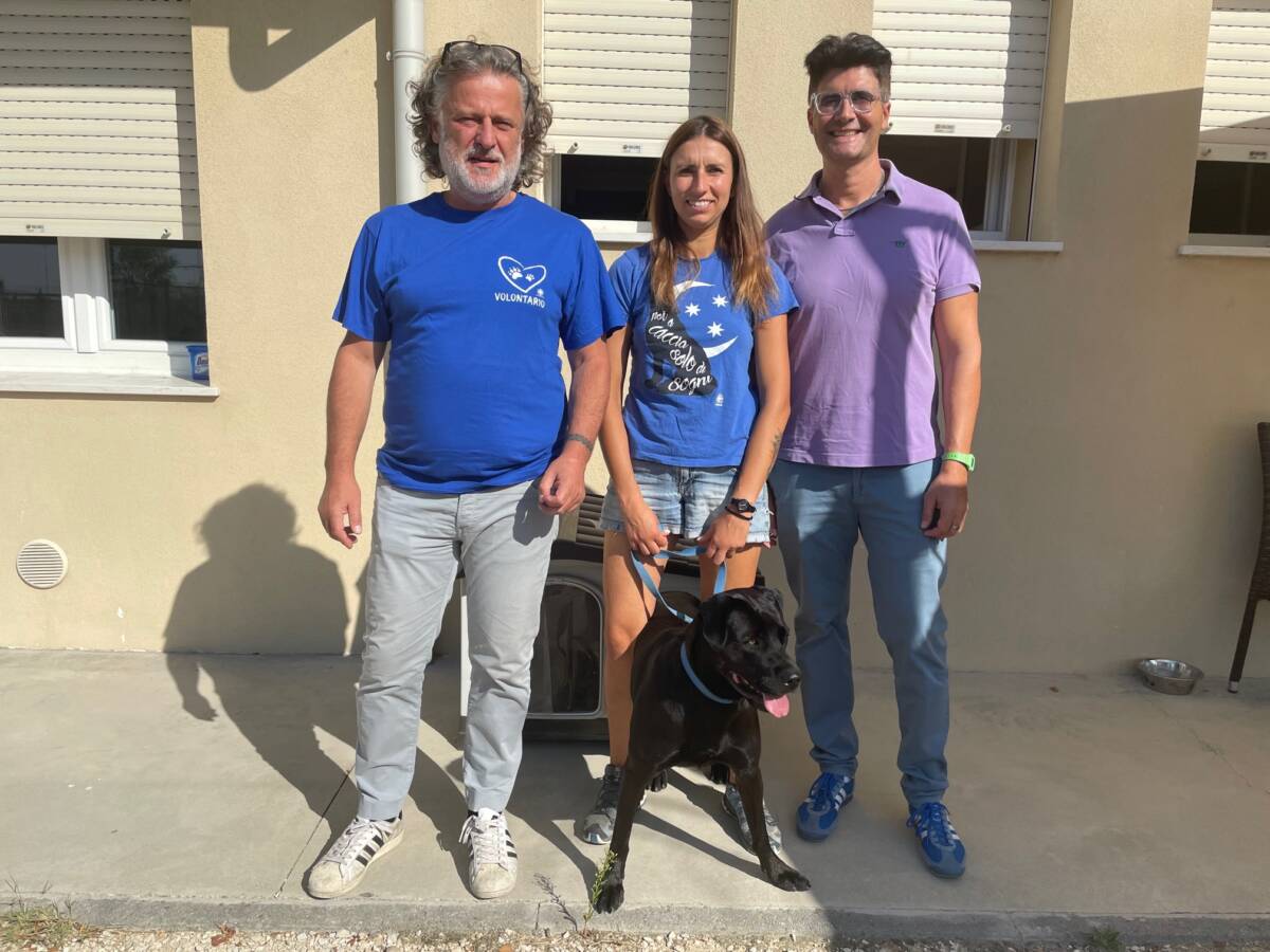 cani invisibili Morgana Nora Bianca