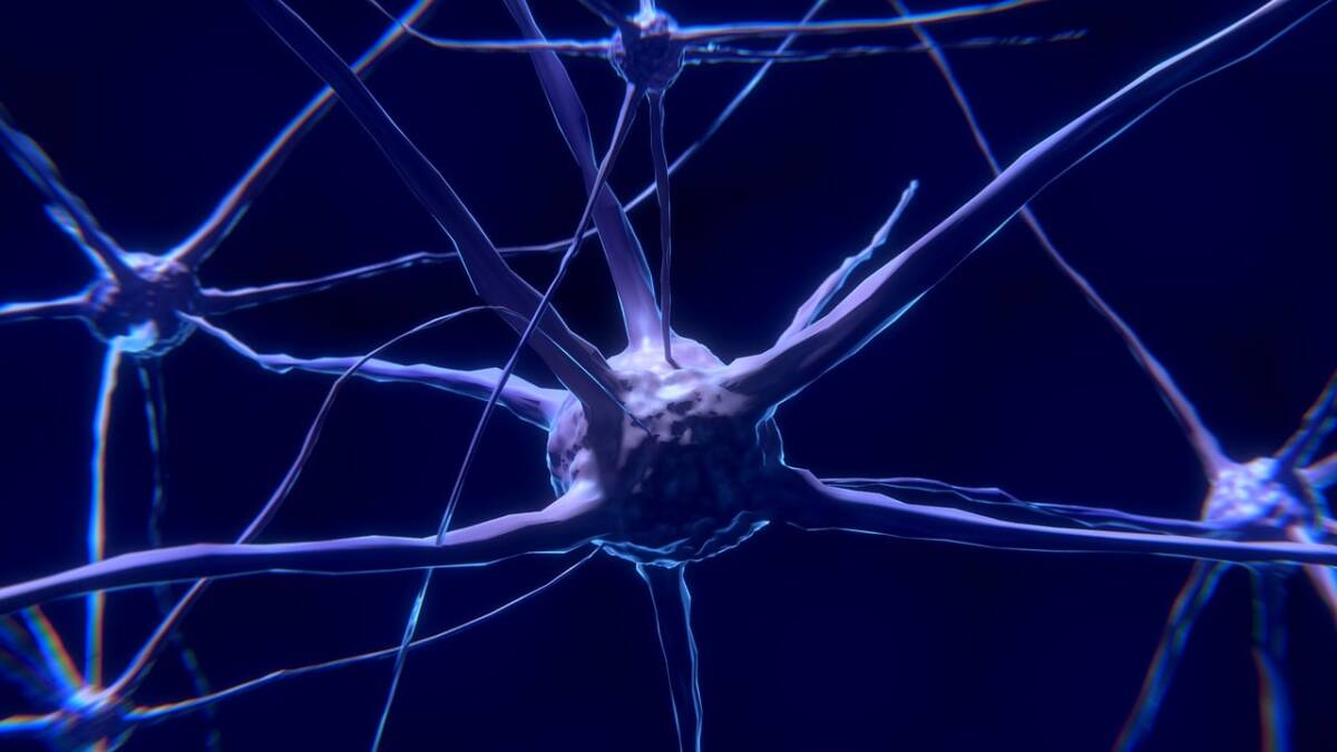 neuroscienze neuroni cervello intelligenza artificiale neurone