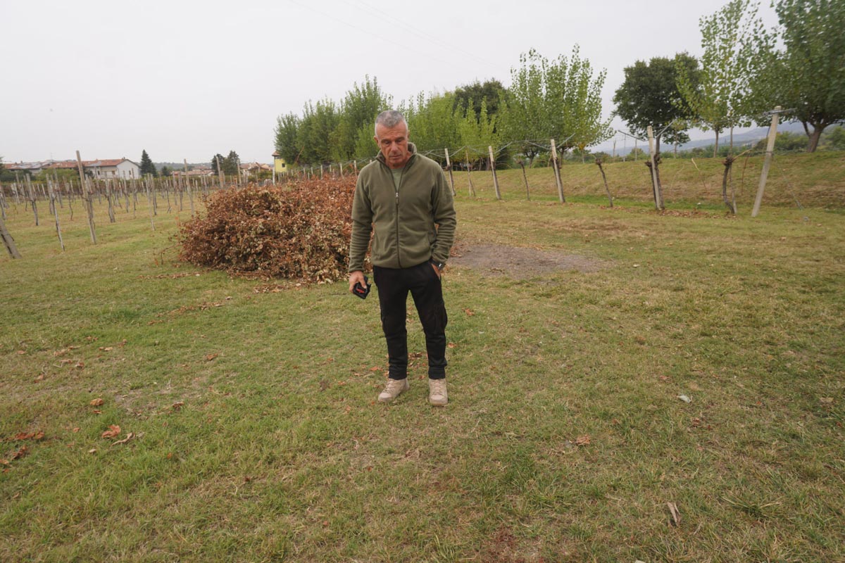 Alberto Aldegheri, padrone delle caprette