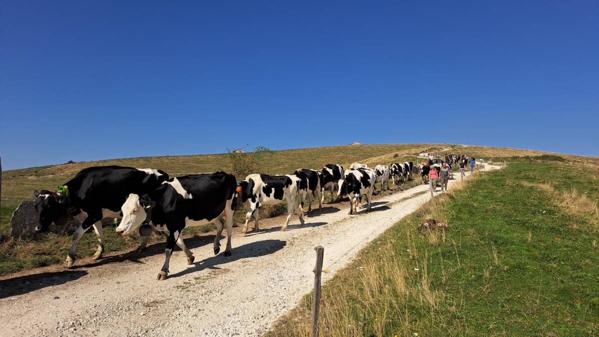 Camminaparco sentiero delle Gosse (8)