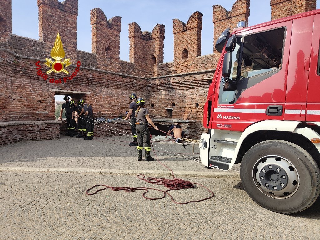 Cane Castelvecchio Vigili del Fuoco Verona