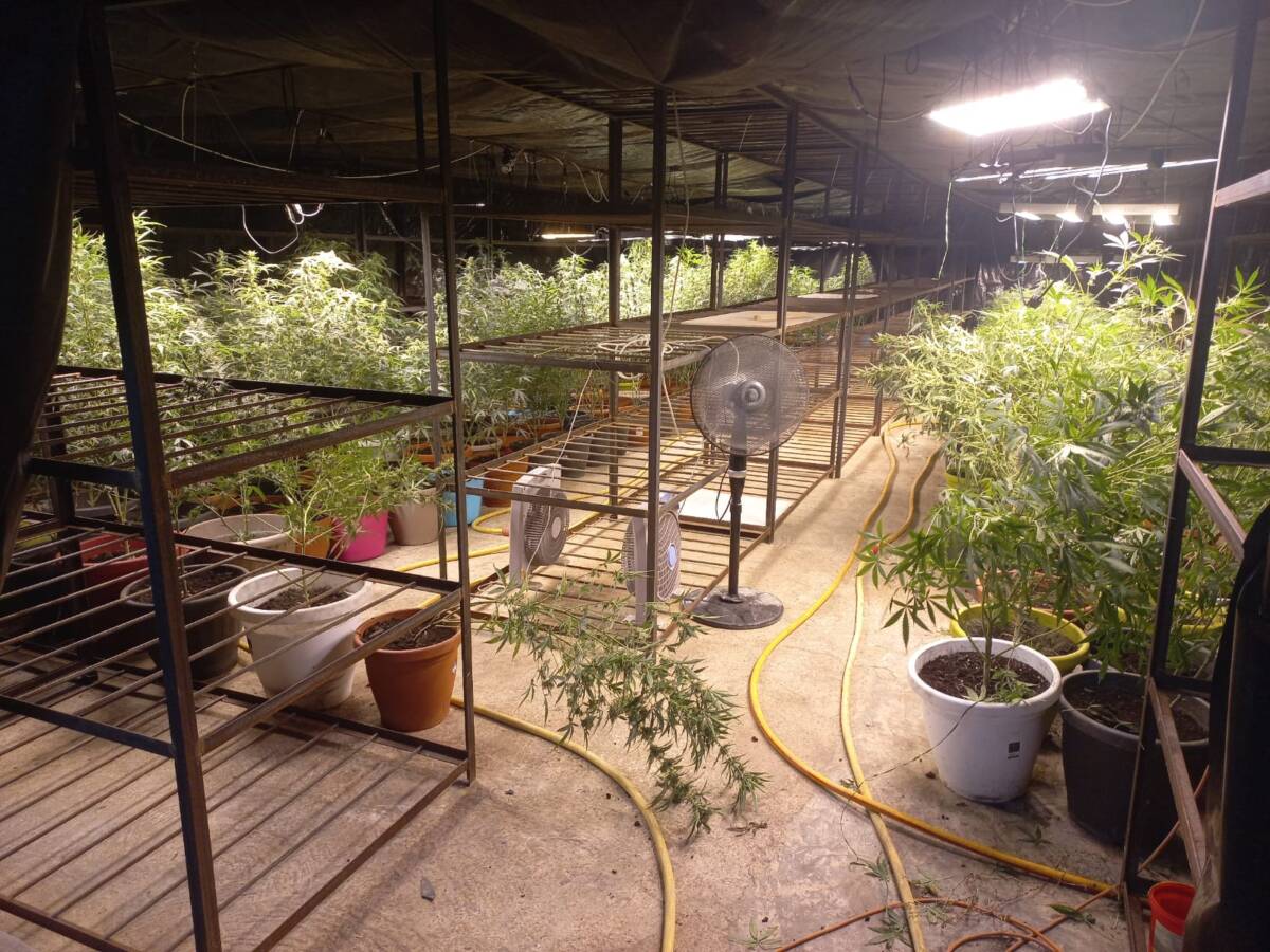 Cannabis carabinieri Mozzecane (3)