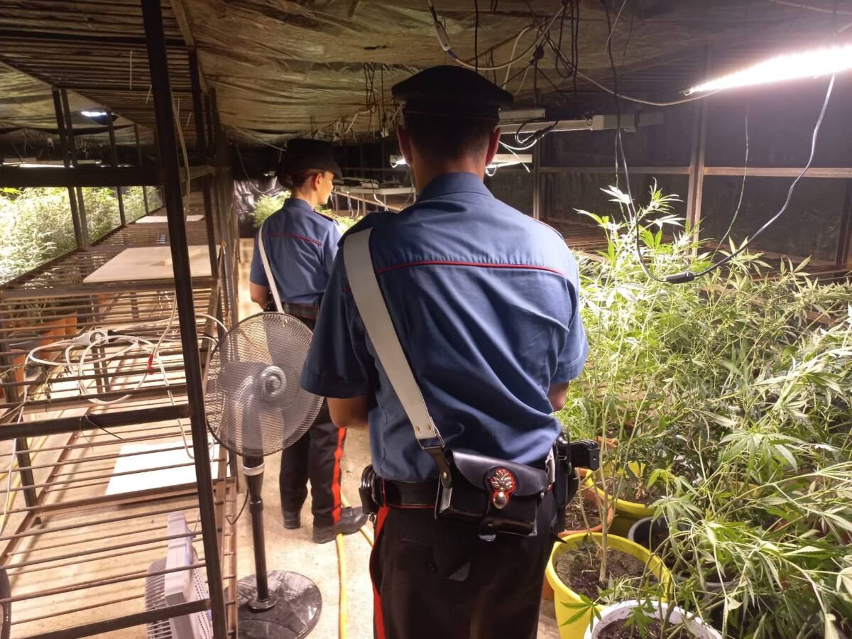 Cannabis carabinieri Mozzecane (3)