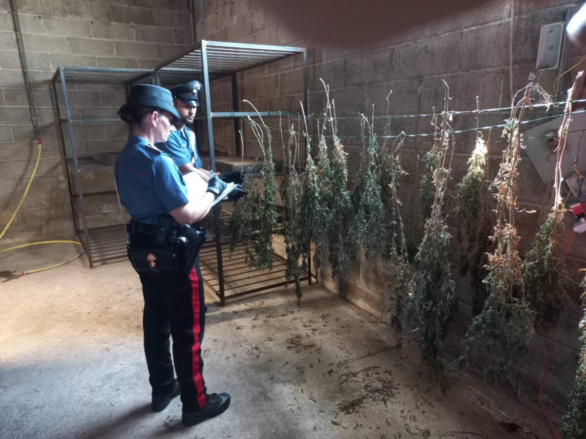 Cannabis carabinieri Mozzecane (3)