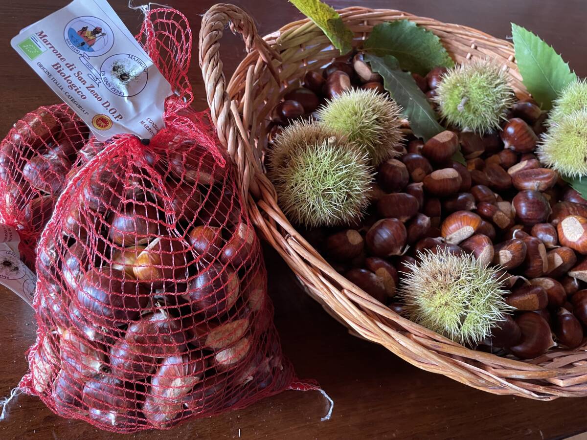Marroni di San Zeno DOP