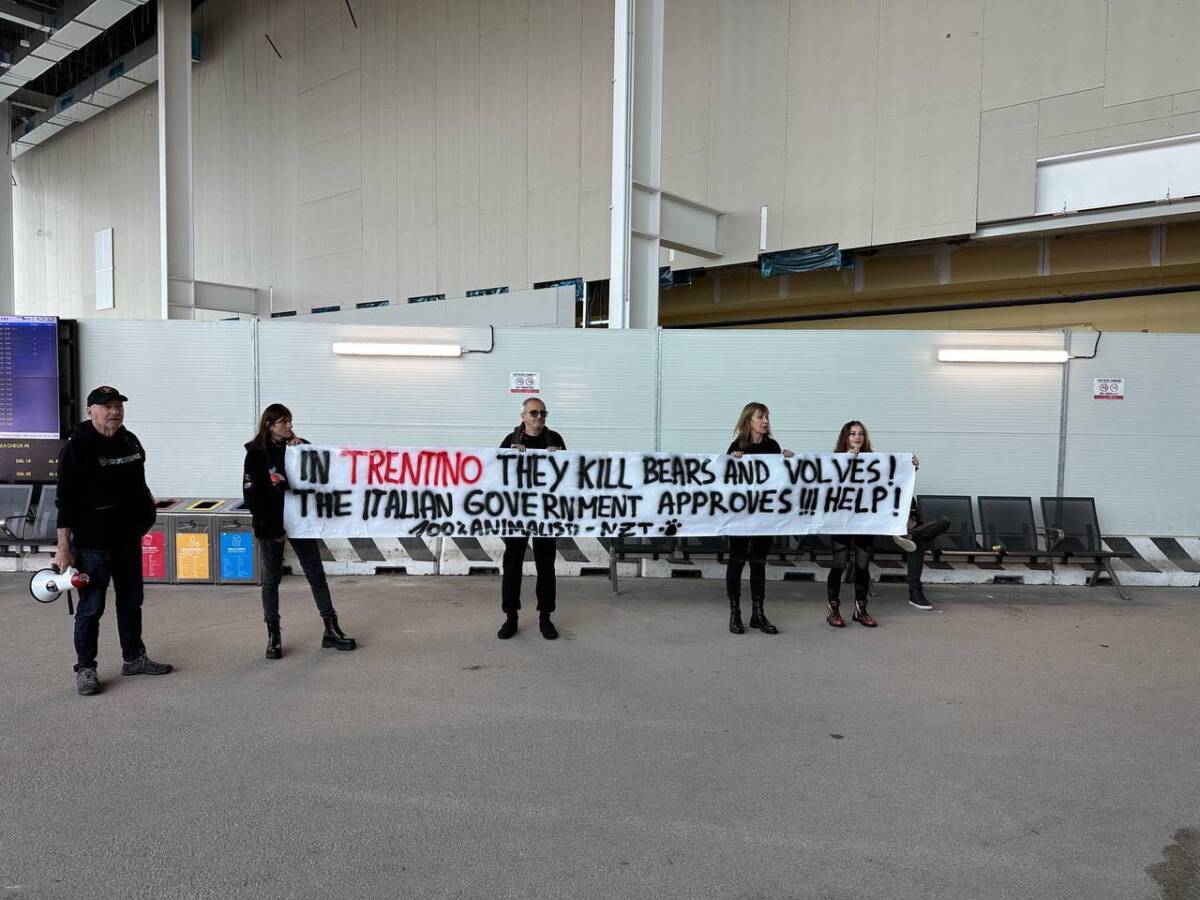 Animalisti al Catullo Centopercentoanimalisti