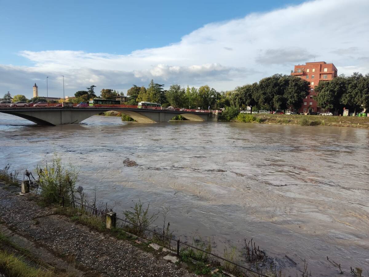 Ponte Catena piena Adige