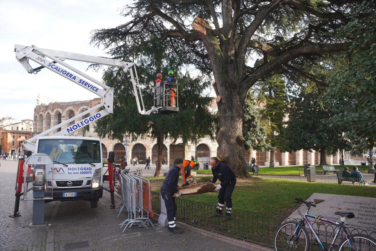 Albero caduto piazza Bra - controlli 13.11
